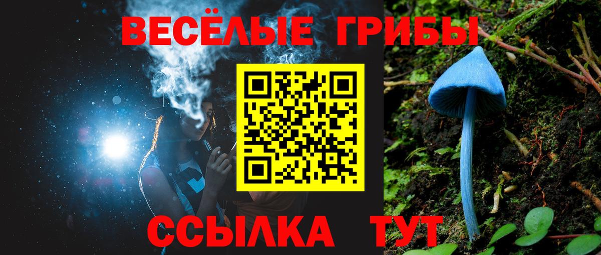 Галлюциногенные грибы прущие грибы Миллерово